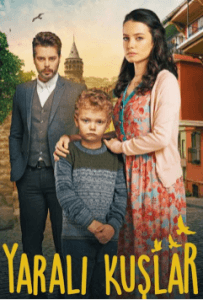 Yaralı Kuşlar Son Bölüm izle