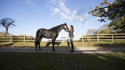 Free Rein 2.Sezon 2.Bölüm izle