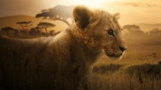 Lion 1.Sezon 4.Bölüm izle